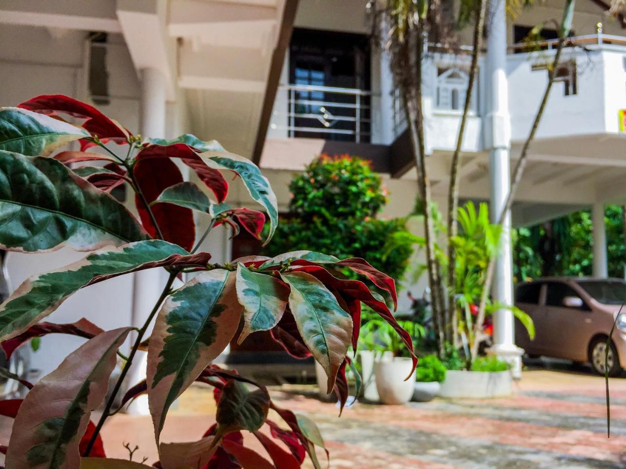 Myr-O Homestay Kombichankulama المظهر الخارجي الصورة
